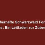 "Zauberhafte Schwarzwald Forellen Entradas: Ein Leitfaden zur Zubereitung"