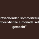 "Erfrischender Sommertraum: Himbeer-Minze Limonade selbst gemacht"